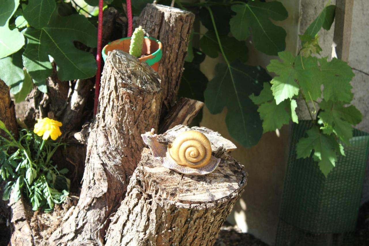 Gite Le Cep D'Or Alsace سانت هيبوليت المظهر الخارجي الصورة